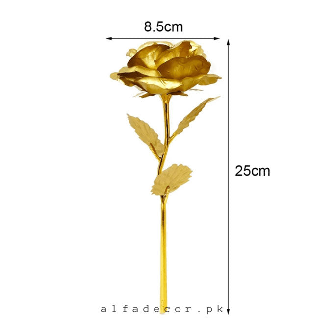 Golden Rose